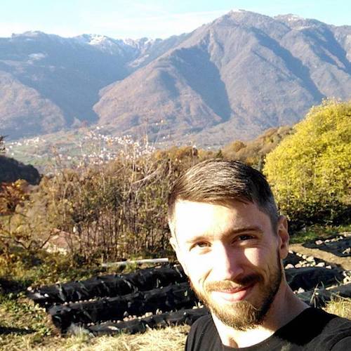 David in the Alps